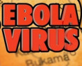 Ministerstvo zdravotnictví: Česká republika preventivně přijme občana USA po kontaktu s ebolou, veřejnosti nehrozí riziko